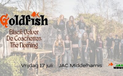 Goldfish, Black Velvet, The Coachettes en The Nothing
